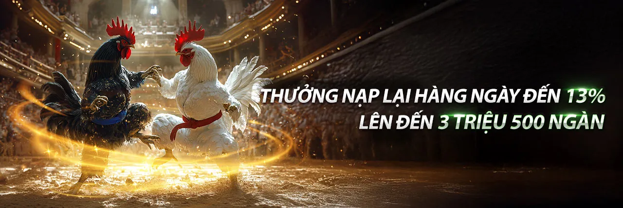 Hỗ trợ khách hàng của ku77 link mới
